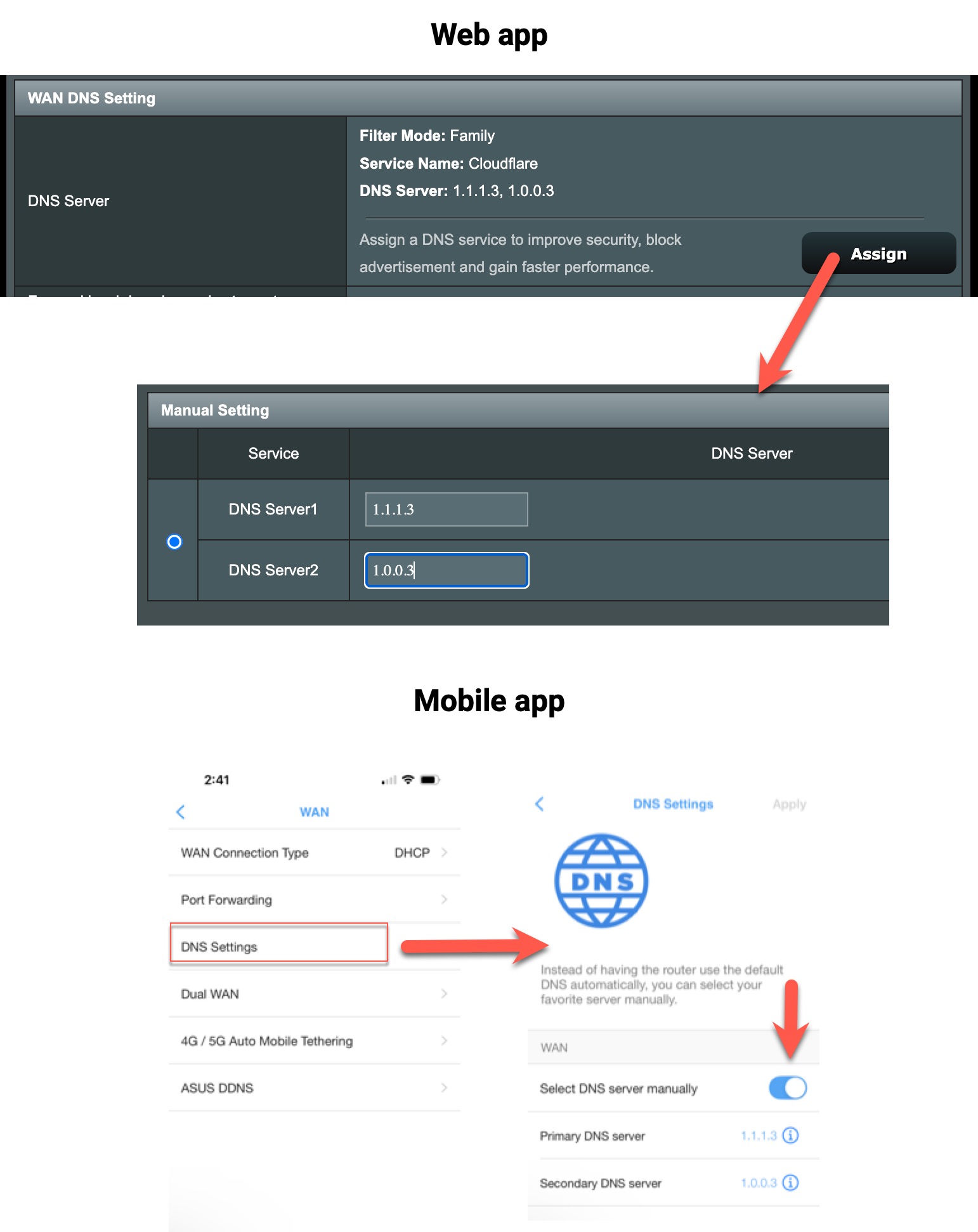 DNS configuration for typical web and mobile apps (ASUS pictured)