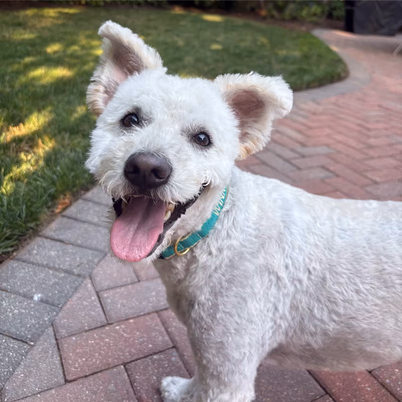 Winnie